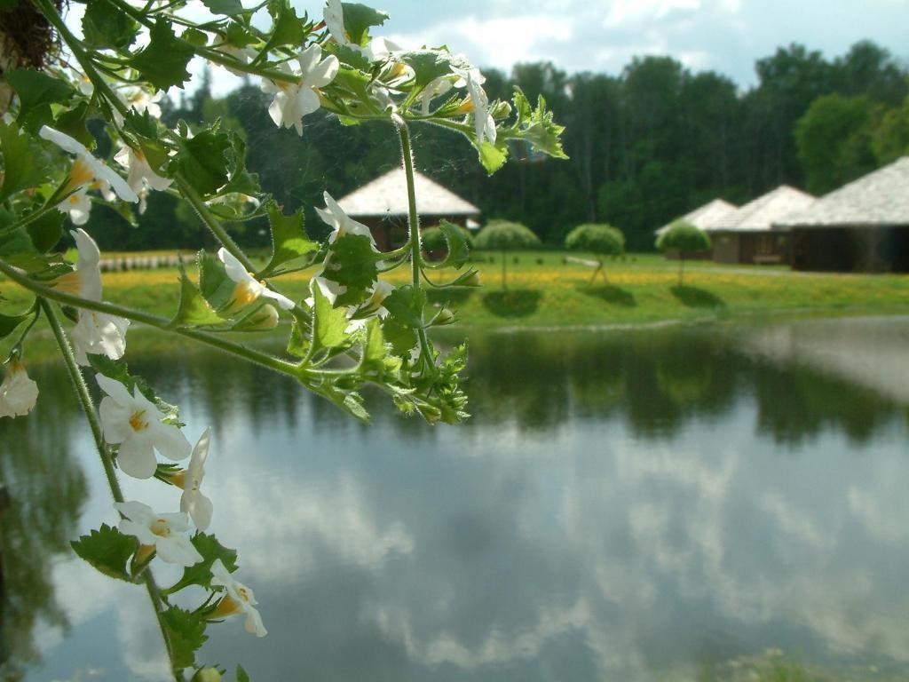 Recreation Center Bruveri Sigulda Room photo